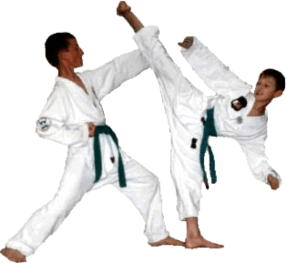 taekwondo 4.gif