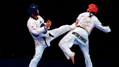 taekwondo mwuhha.jpg