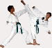 taekwondo 4.gif