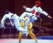 taekwondo letci.jpg